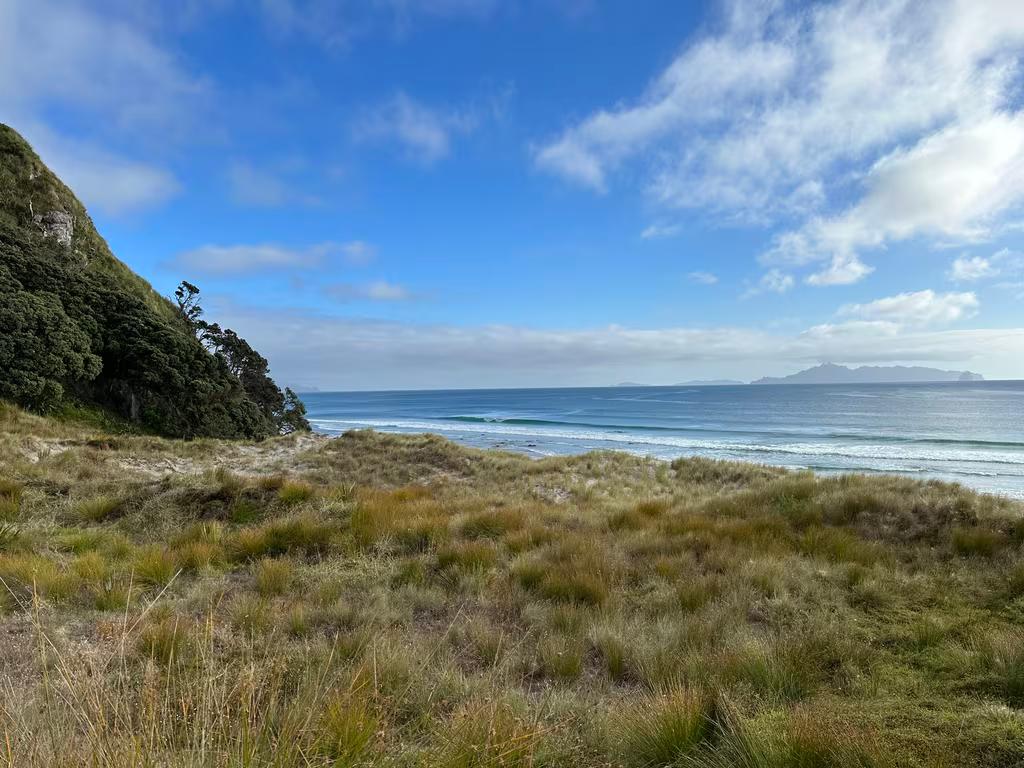 Mangawhai 2024