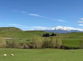 Waiouru and Mt Ruapehu