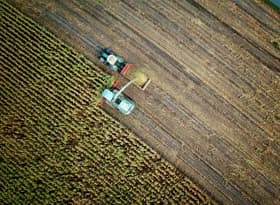 Agriculture