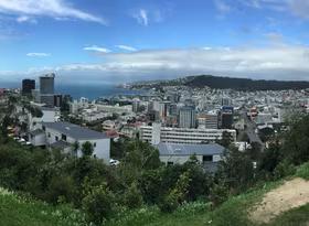 panoramic photo of Wellington City
