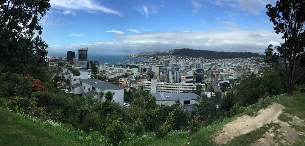 panoramic photo of Wellington City